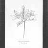 Billedramme 18 x 24 cm sort blank
