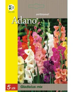 Blomsterløg assorterede varianter