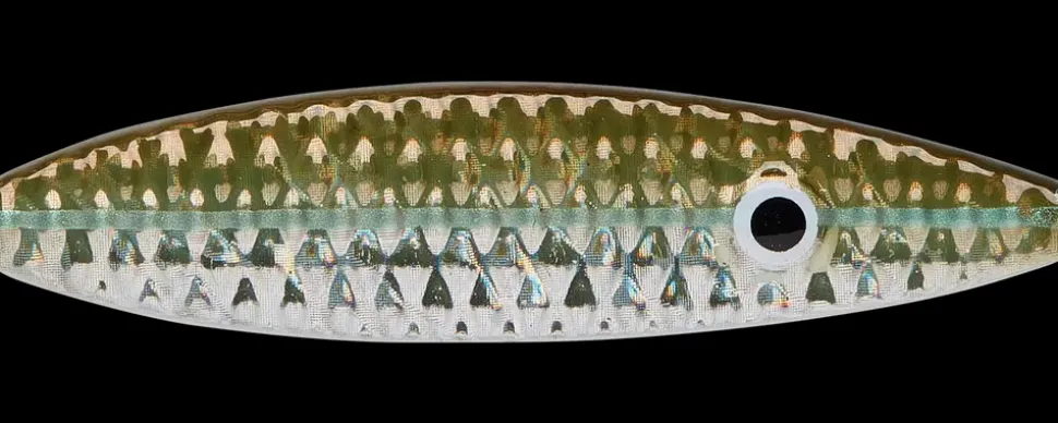 DAM Kivik 18 g Sinking Olive