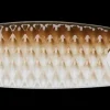 DAM Kivik 18 g Sinking Tang
