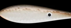 DAM Rotas 12 g Sinking Tang
