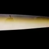 DAM Stripper 12 g Olive White