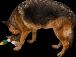 DanPet Hundelegetøj and med reb 42 cm