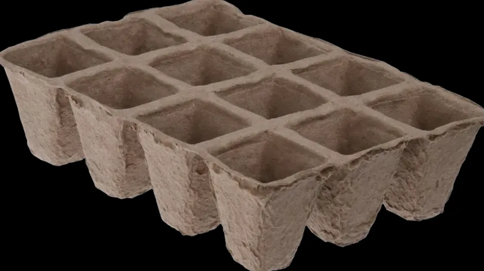 Forspirings bakker 6-pak