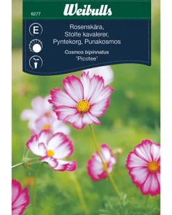Frøportioner assorterede - prisgruppe E