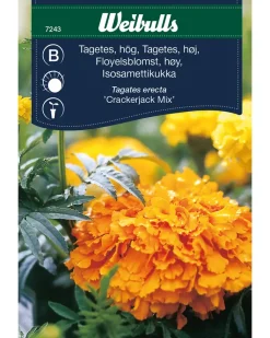 Frøportioner assorterede - prisgruppe B