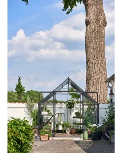 Halls Drivhus Qube+ 88 med hærdet glas - sort
