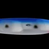 Kinetic Fax 20 g - Blue/silver