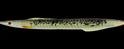 Kinetic Tobias Inline 18 g - Chartreuse Sandeel