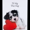 Kort med kuvert 11x17 cm - hund med hjerte