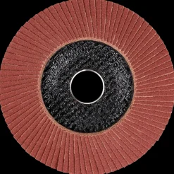 Lamelskive Ø125 mm K120