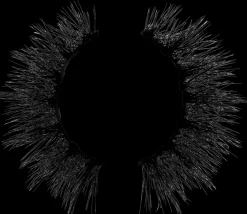 Lovelish Magnetiske øjenvipper - ass. designs