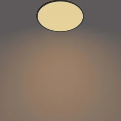 PHILIPS Plafond SceneSwitch slim Ø43cm 22W - sort