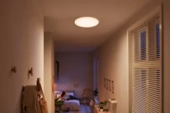 PHILIPS Plafond SceneSwitch 3-trin Ø35cm 17W - hvid