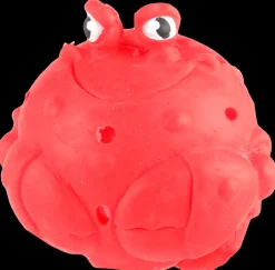 Sponge Sea animal