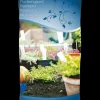 Weibulls Plantejord 40 L