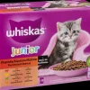 WHISKAS Ragout Junior 12 x 85 g
